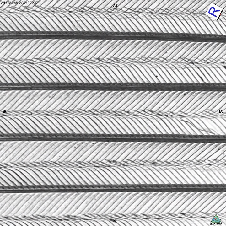 SuperBlack_41467_2017_2088_Fig3