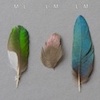 thesis_feathers_button_90px